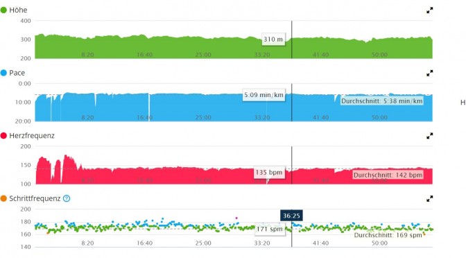 Die  Garmin Vivoactive im Test