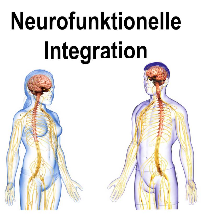 neurofunktionelle Integration